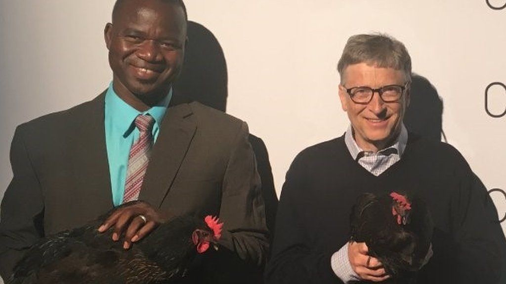 Bill Gates launches chicken plan to help Africa poor - BBC News