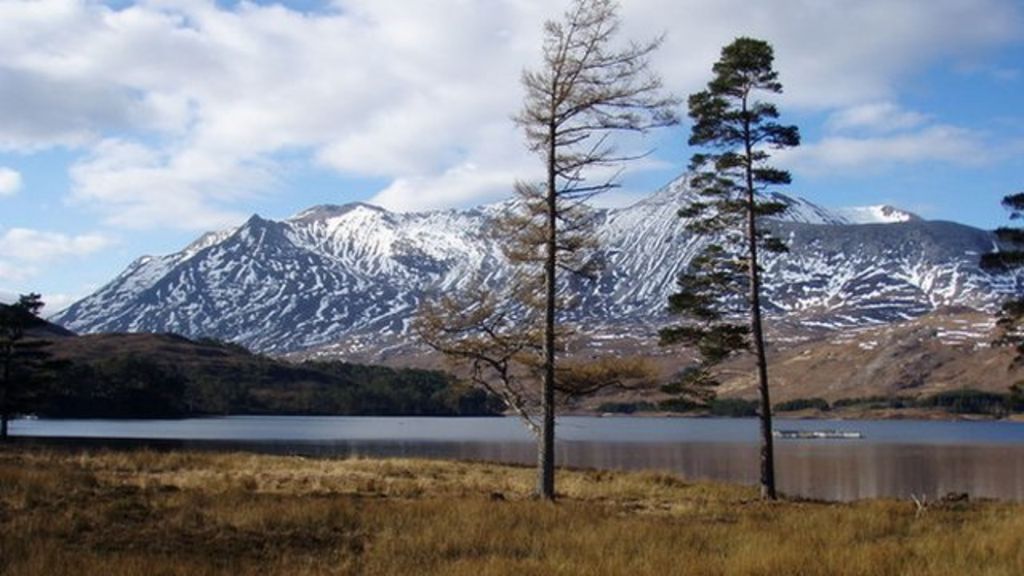 Mountain's dark bees in virus fight
