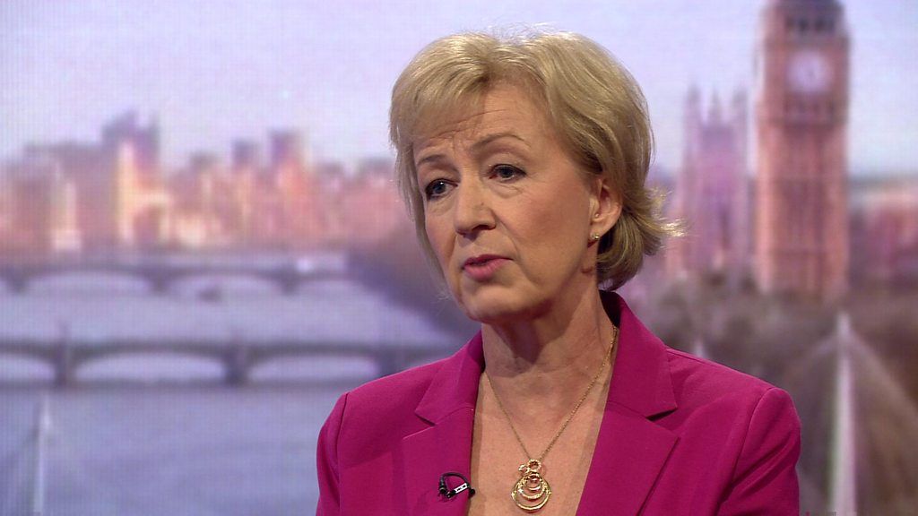 Leadsom: 'We need to get on with Brexit'