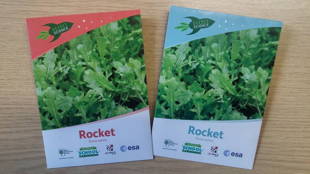 Space seeds on their way to schools