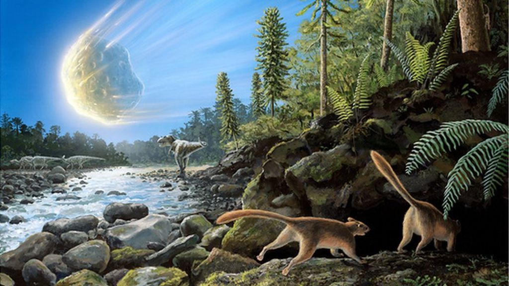 Rise of mammals 'earlier than thought'