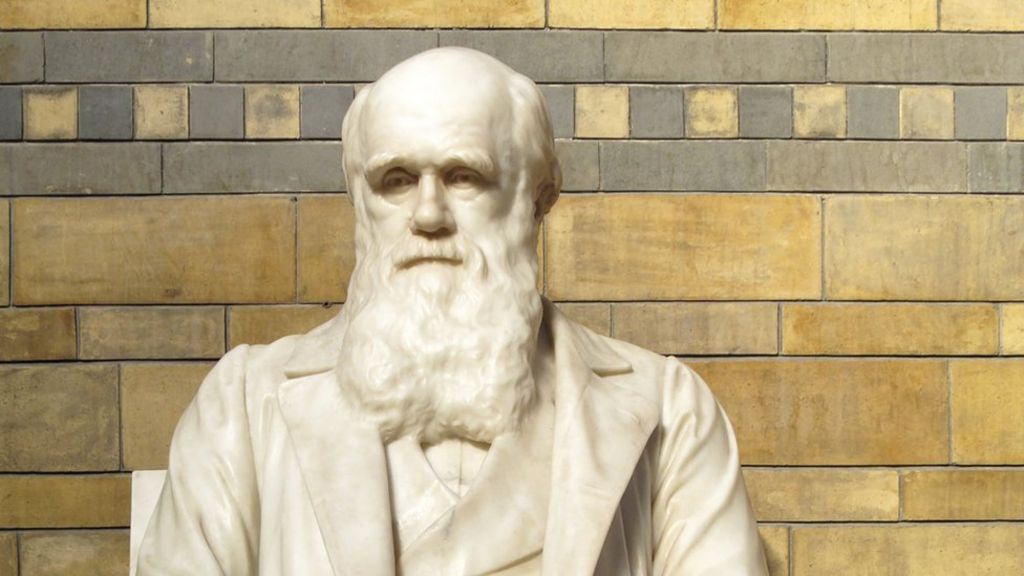When is a theory 'just a theory'?