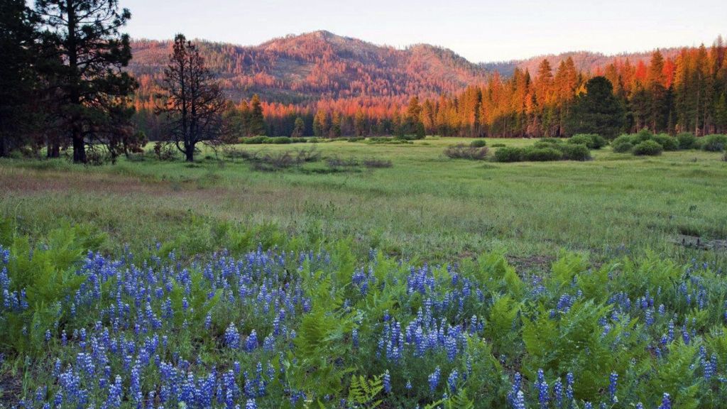Yosemite National Park unveils 400-acre expansion