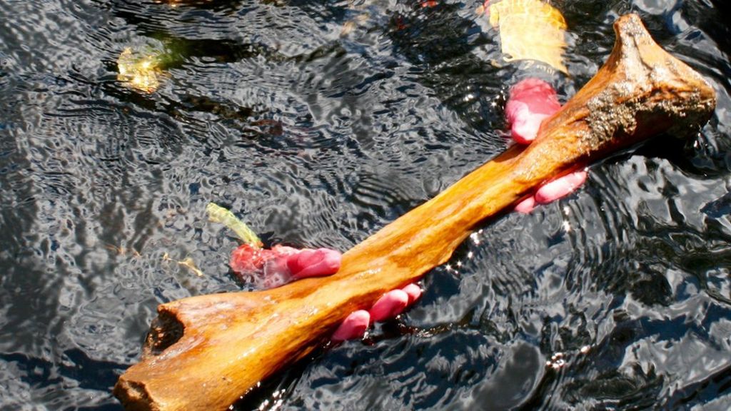 Mastodon scraps revise US prehistory