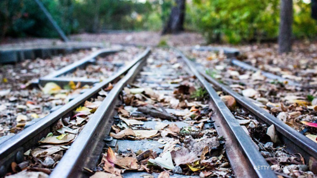 Could microwaves rid rail lines of leaves?