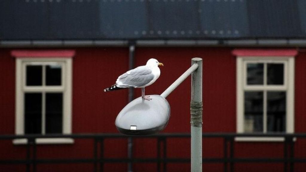 Contrasting fortunes for island property