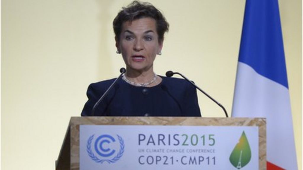 UN climate chief to step down