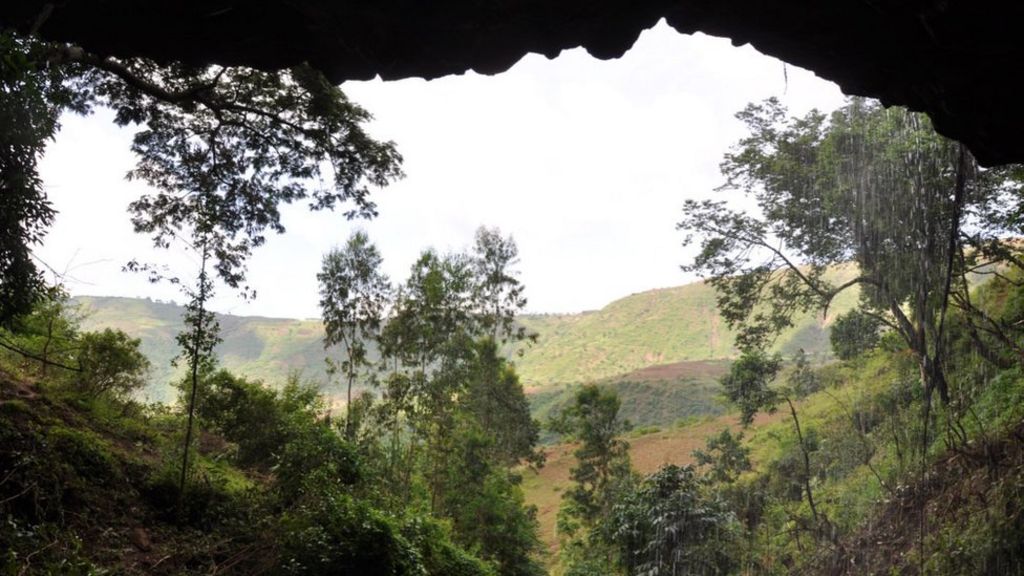 DNA reveals 'into Africa' migration