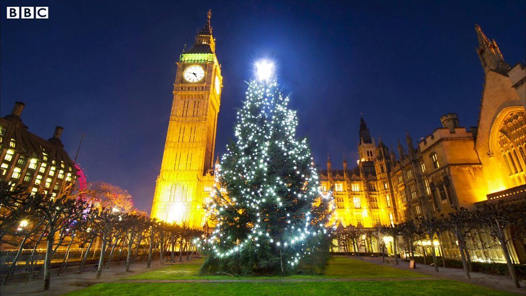 Westminster Christmas tree's journey from Kielder Forest