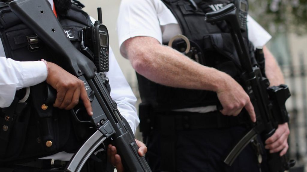 Review of police gun use ordered by David Cameron BBC News
