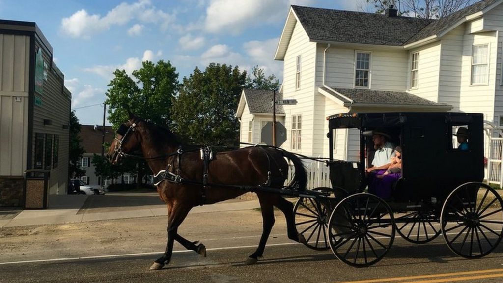 Can this political group get the Amish to vote for Trump? BBC News