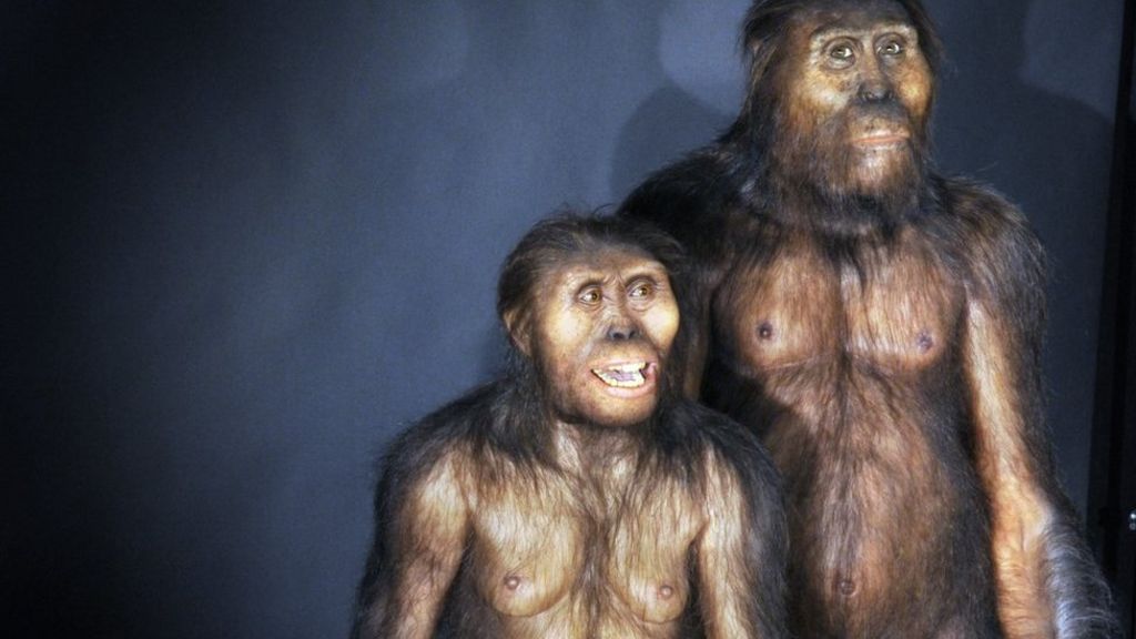 Early human ancestor Lucy 'died falling out of a tree'