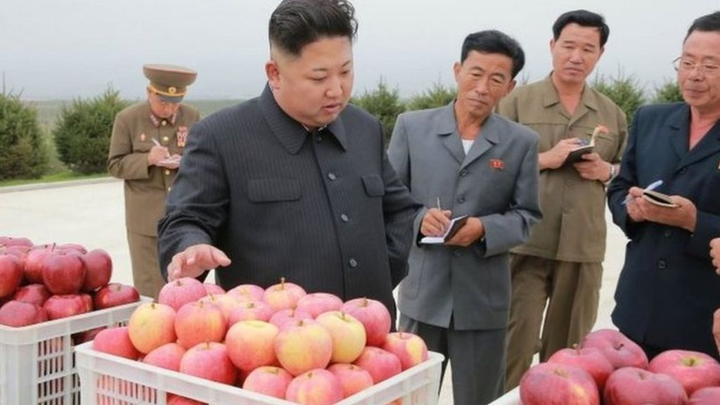 What the North Korean internet really looks like