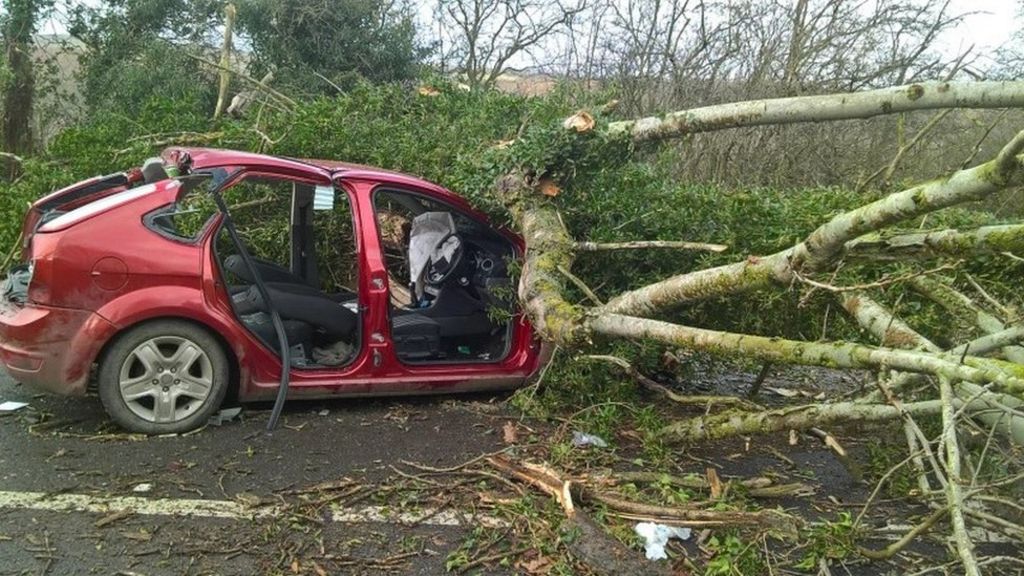 Man dies after tree fell on car during Storm Doris