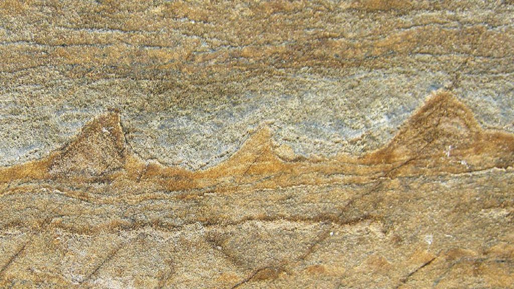 Wavy Greenland rock features 'are oldest fossils'