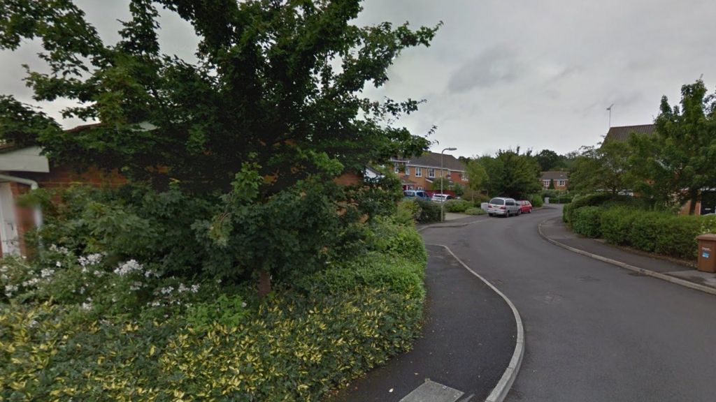 Man seriously hurt in air gun shooting