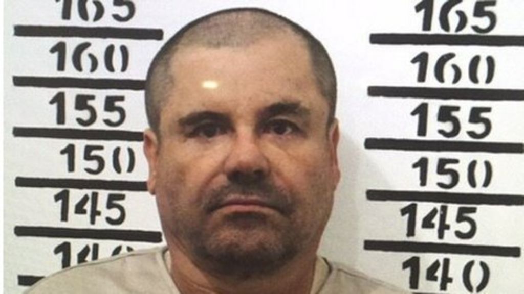 Mexico arrests Guzman 'money launderer'