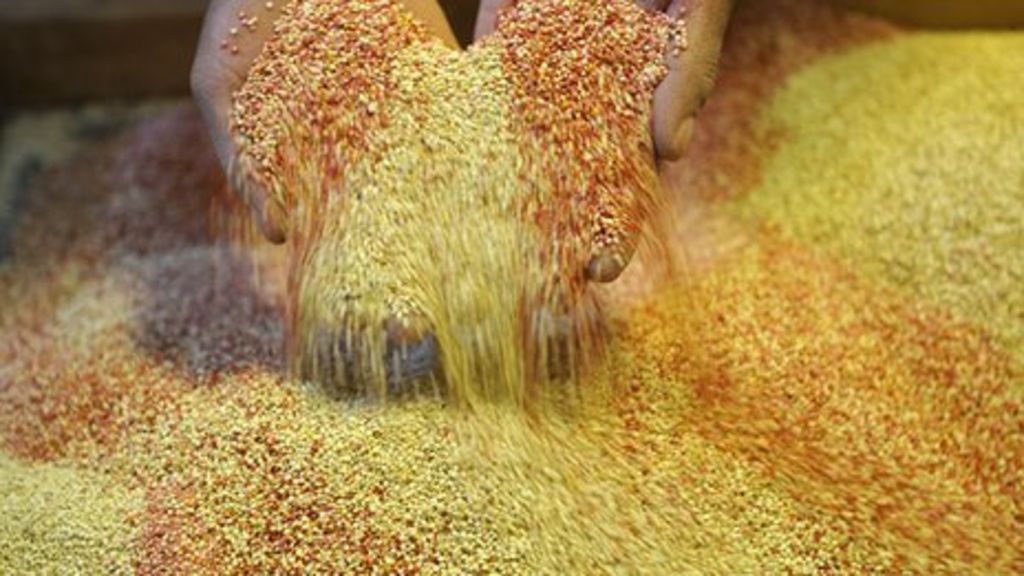 Quinoa genome could see 'super-food' prices tumble