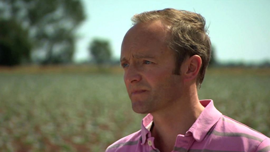 Lincolnshire farmer: 'We could not operate without migrants'