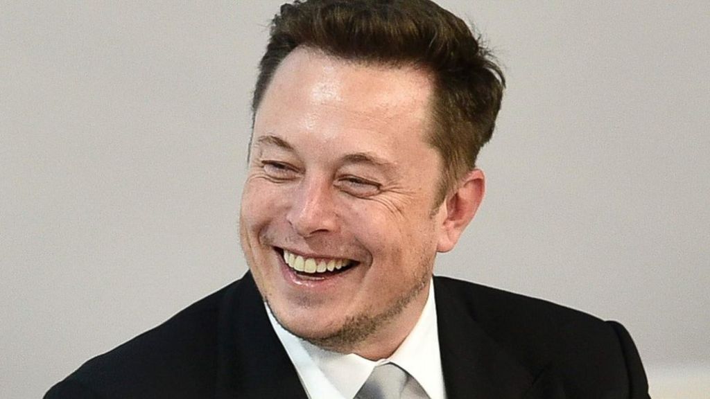 Elon Musk makes 'free battery' bet