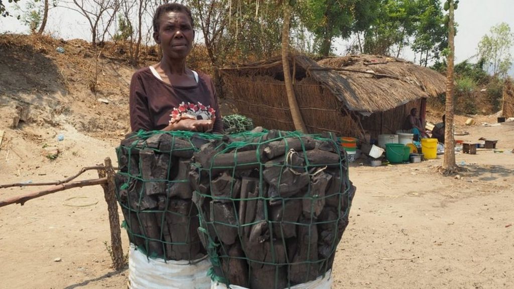 COP21: Malawi's battle to hold on to forests