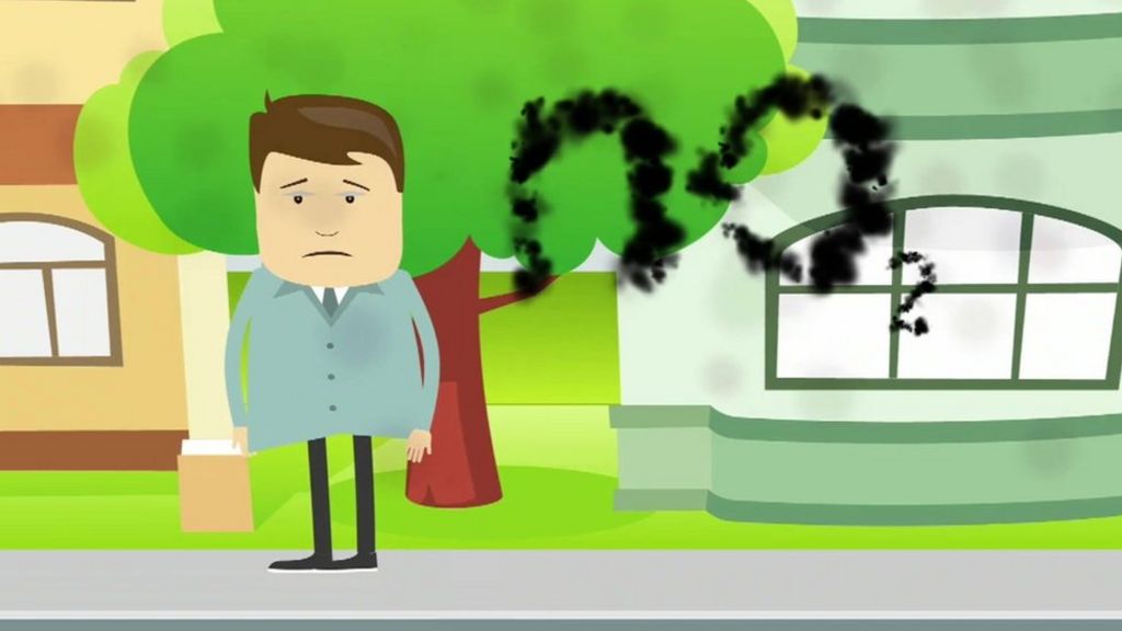 What does air pollution do to our bodies?