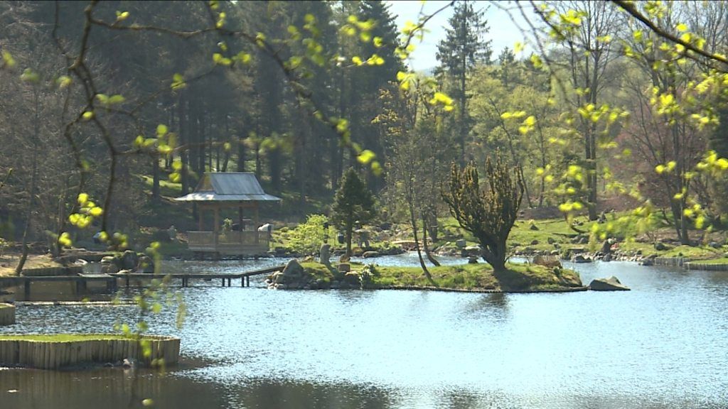 Cowden Castle's Japanese garden to reopen to the public BBC News