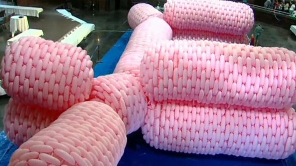 Largest balloon sculpture by an individual breaks record BBC News