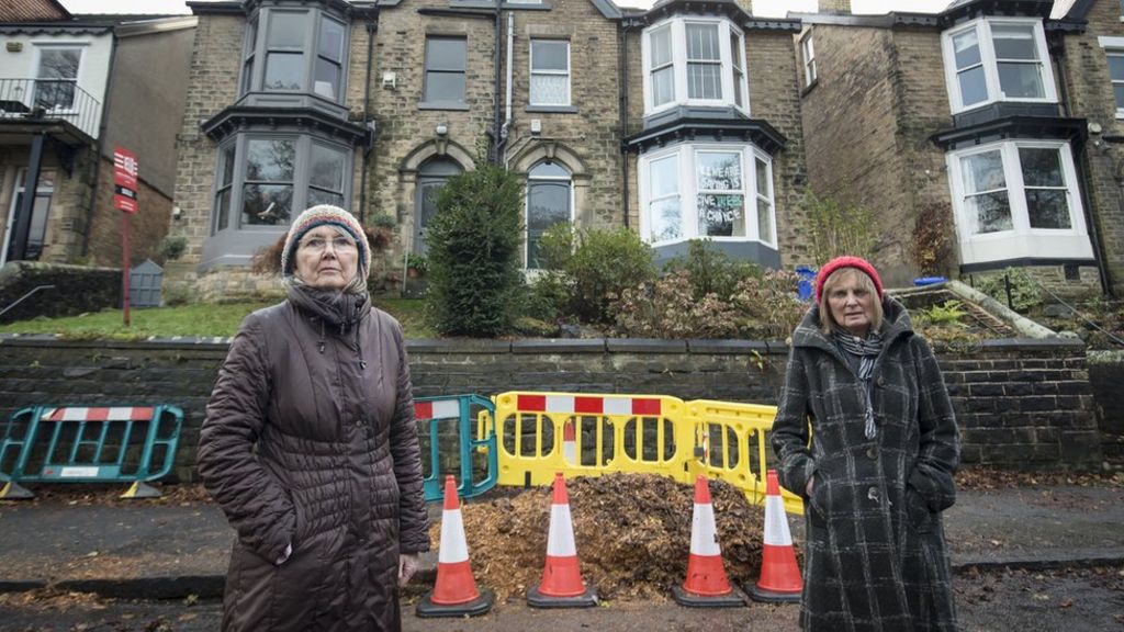 Two Sheffield women charged over tree felling protest