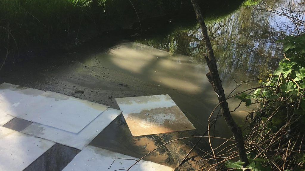 Swindon's River Cole polluted by old engine oil