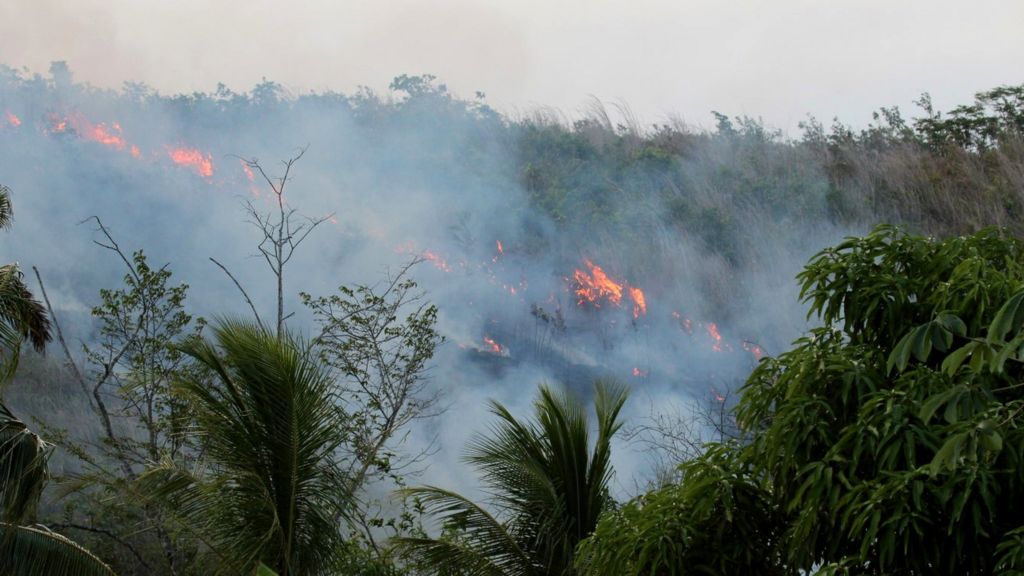 Amazon fires: Humans make rainforest more flammable