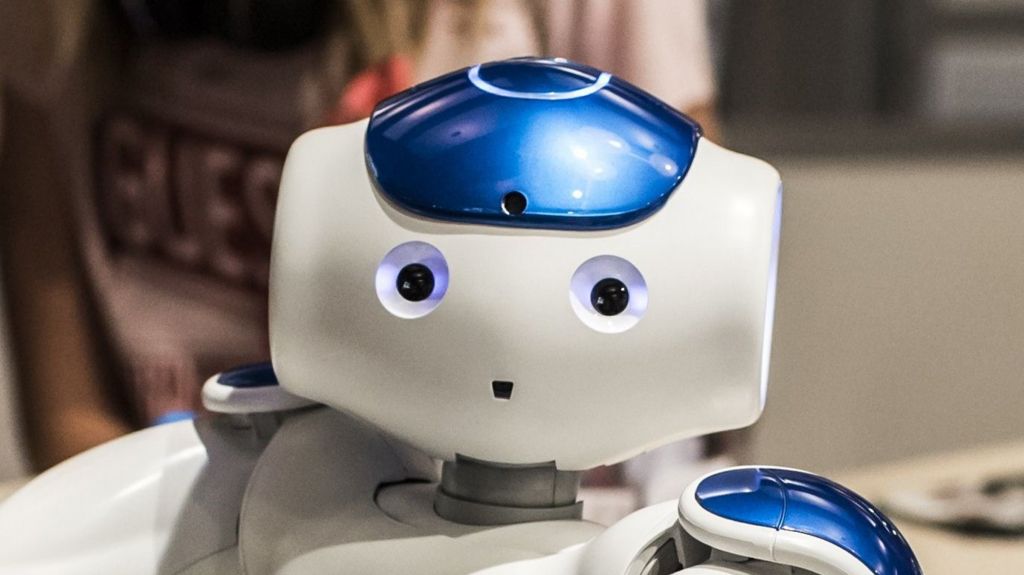 VIDEO: Are people ready for robot colleagues?