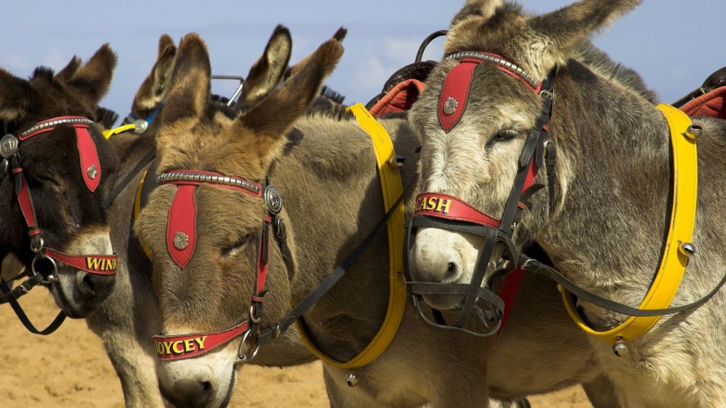 MPs debate 'draconian' fines over term-time holidays