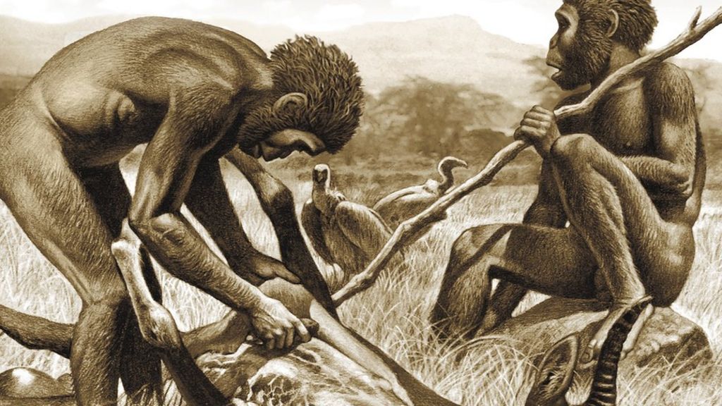 Meat eating accelerated face evolution BBC News