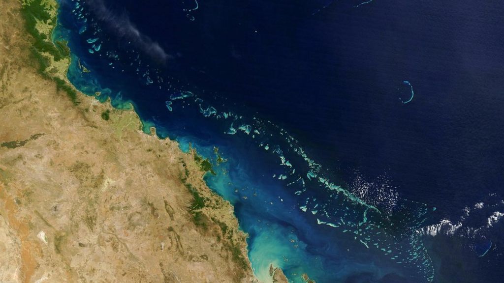 Barrier Reef hit by 'worst' bleaching