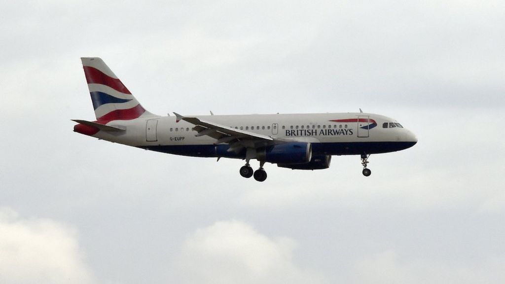 British Airways 'mulls meal charges'