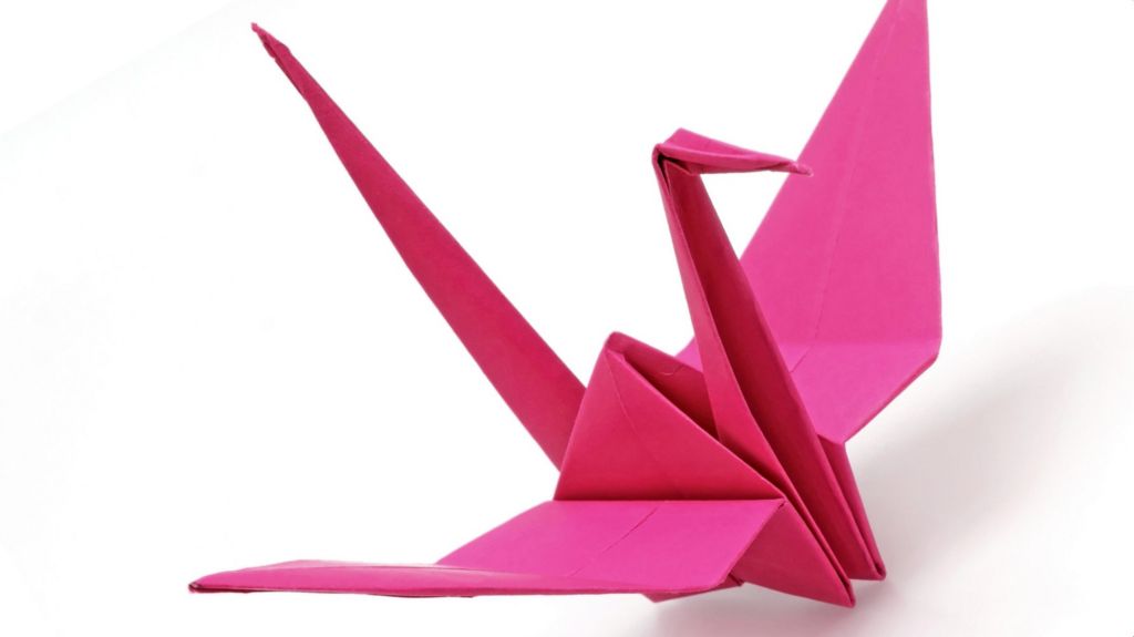 Origami bird gets BBC reporter in a flap