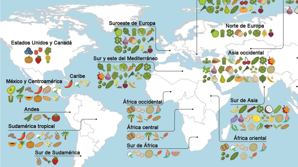 El Mapa Que Muestra El Origen De Los Alimentos Que Comemos Bbc Mundo 2297