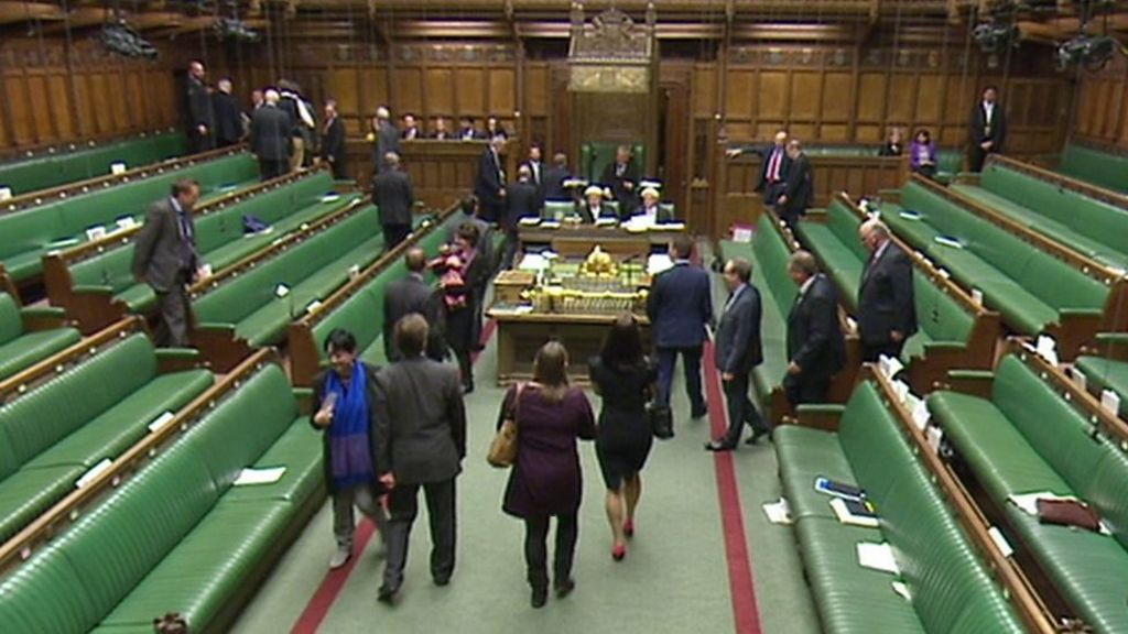 Baby in House of Commons during Article 50 vote