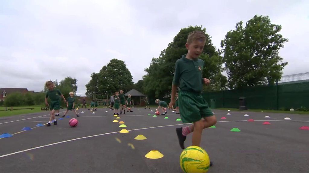 Euro 2016: Welsh mascot transferred to England
