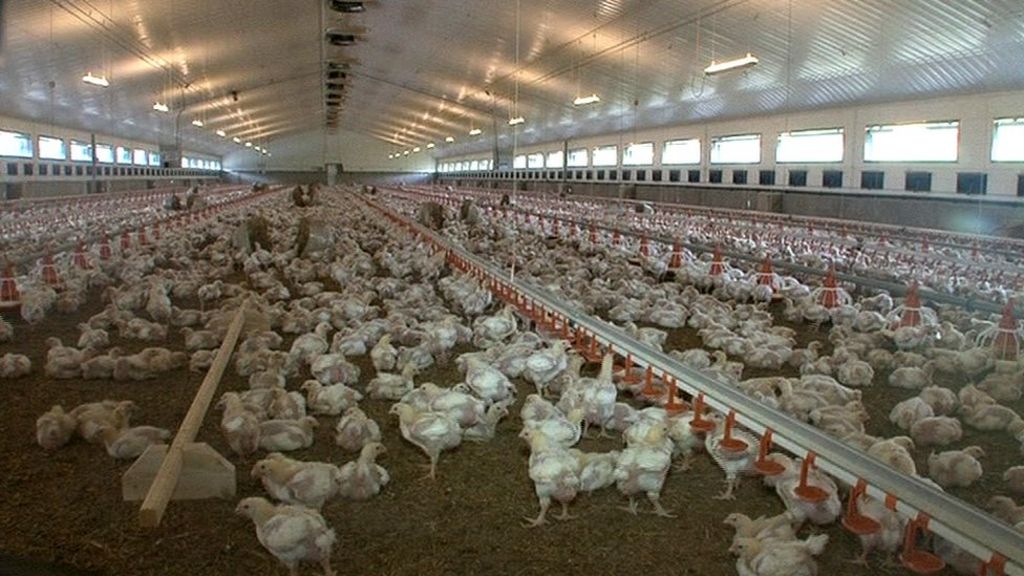RHI scandal: Moy Park meets with executive departments