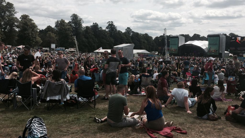 Festival attack prompts appeal