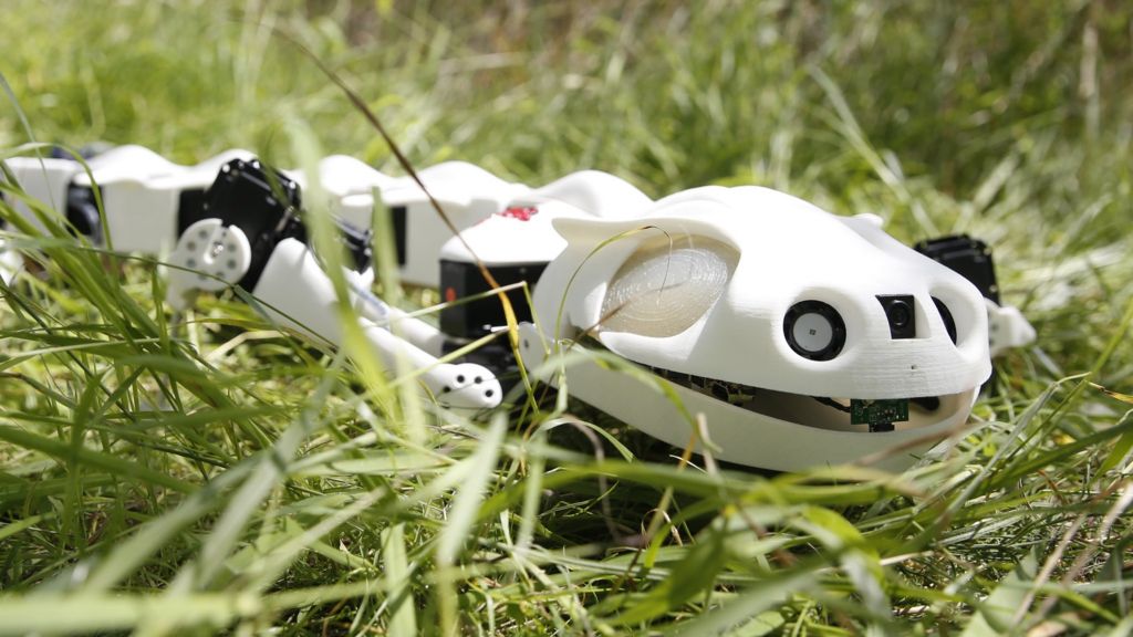 Robot salamander can walk and swim
