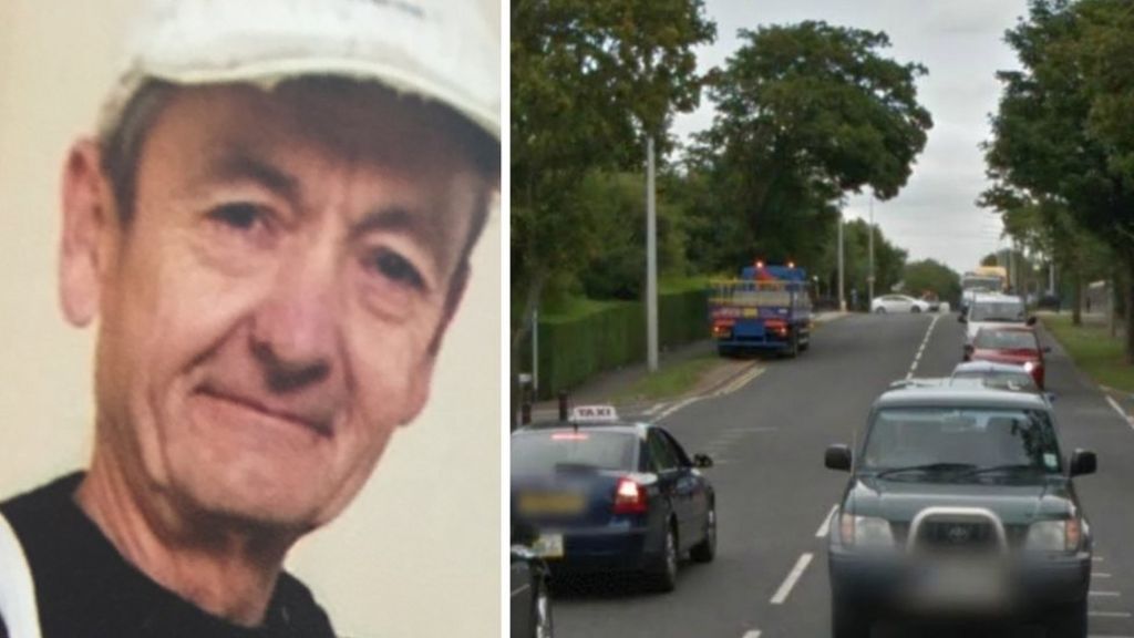 Pedestrian fatally hit by car named