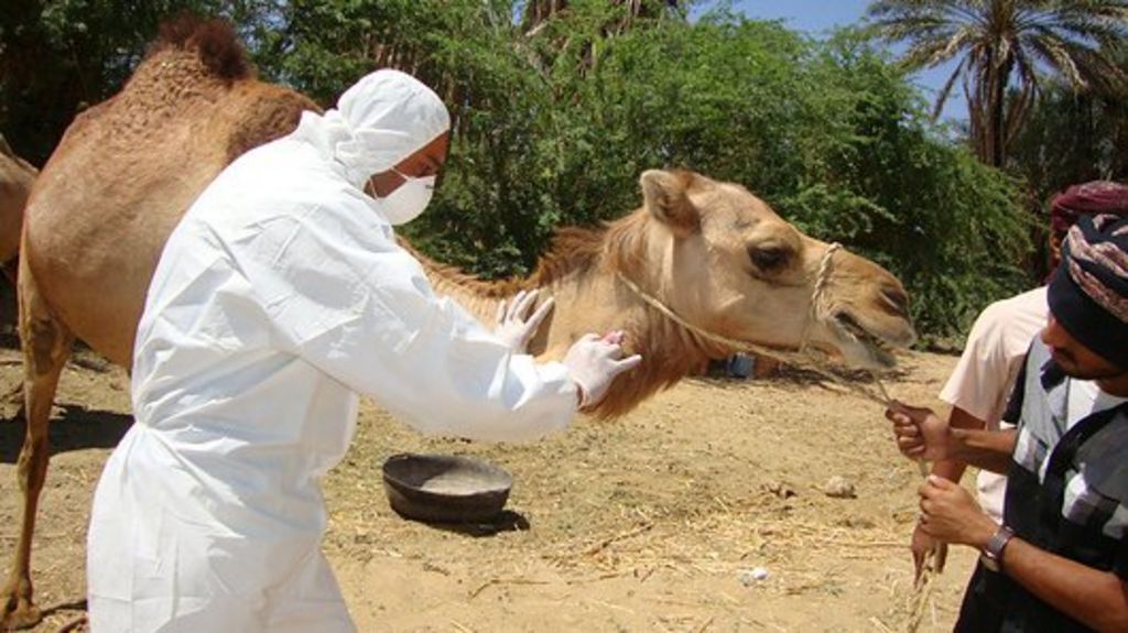 Vaccines for three deadly viruses fast-tracked