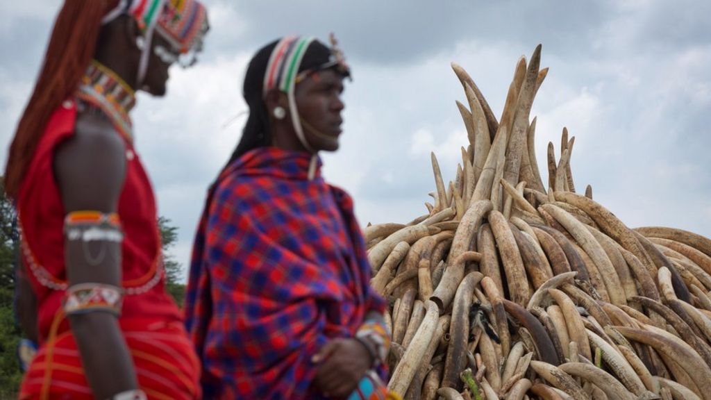 Kenyan call to stamp out ivory trade