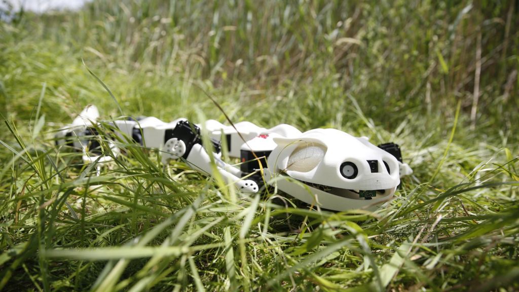 Automated amphibian teaches us to walk