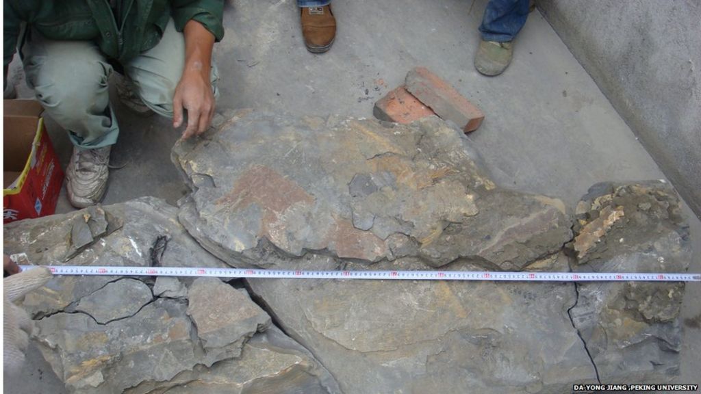 Fossil gives clues to ancient extinction