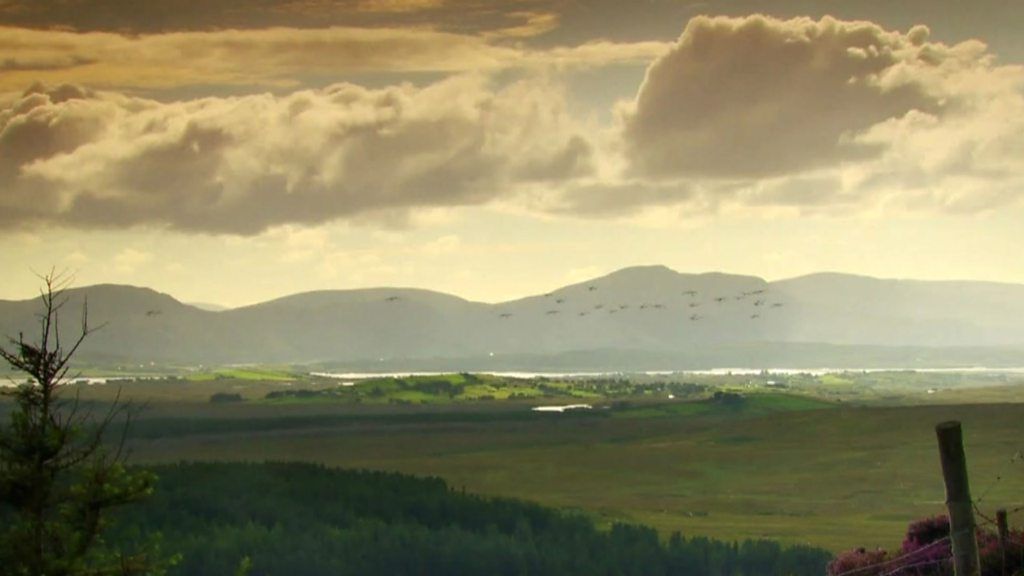 Welcome to 'brand Ireland'