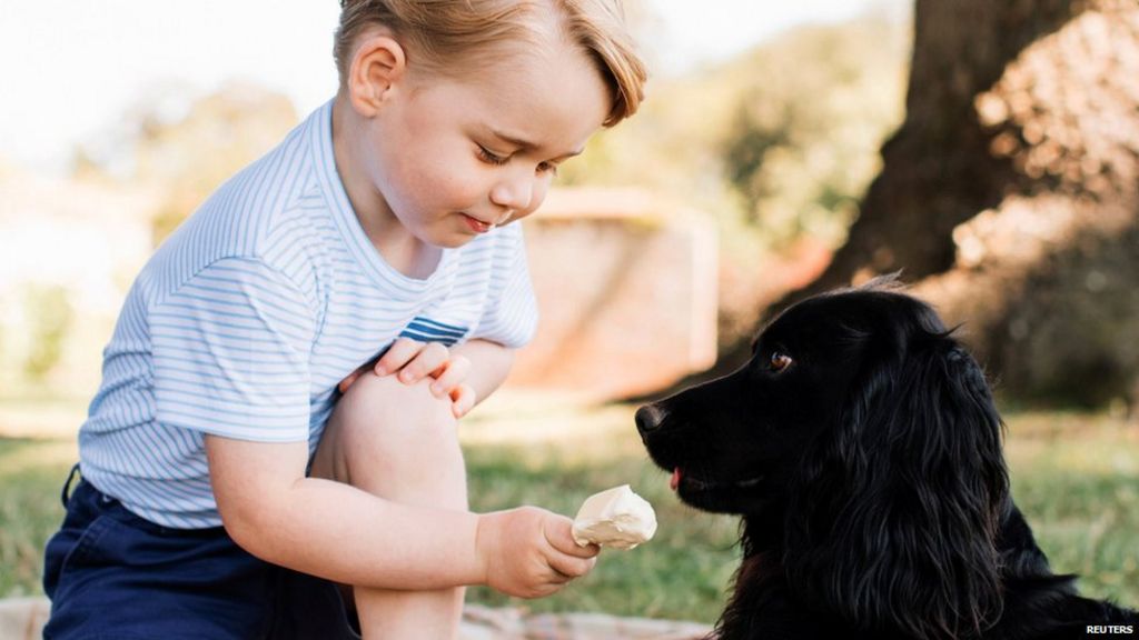 Prince George's third birthday marked with release of photos